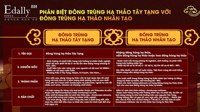 Cách phân biệt Đông trùng hạ thảo Tây Tạng và Đông trùng hạ thảo nhân tạo